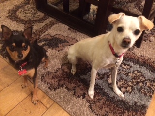 Zoey and Dexter